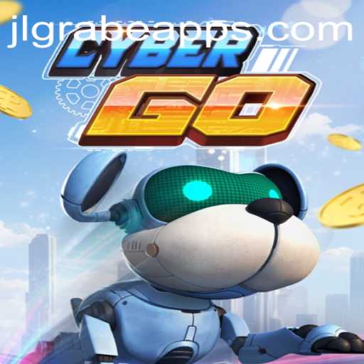 The CyberGO Experience